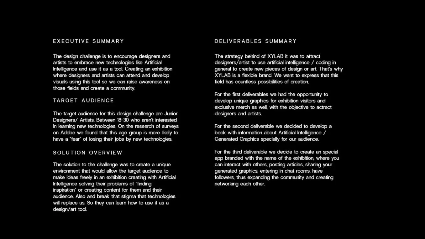 XYLAB executive summary