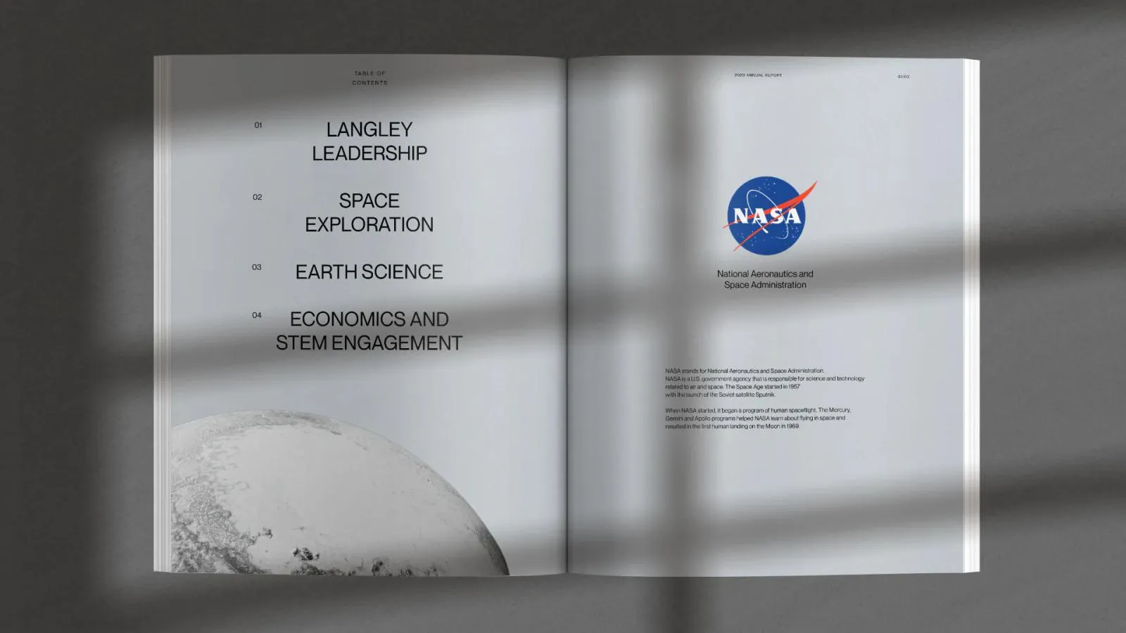 NASA annual report contents